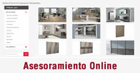 Asesoramiento ONLINE